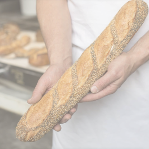 Screenshot 2025-02-01 at 10.35.46 AM